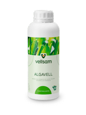 algavell fertilizator fertilizant moldova agricultura