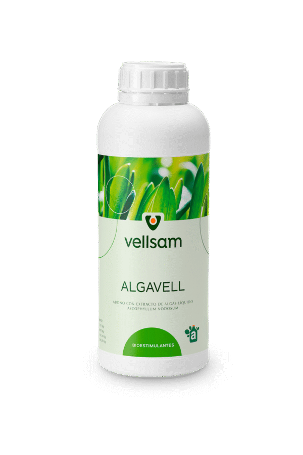 algavell fertilizator fertilizant moldova agricultura