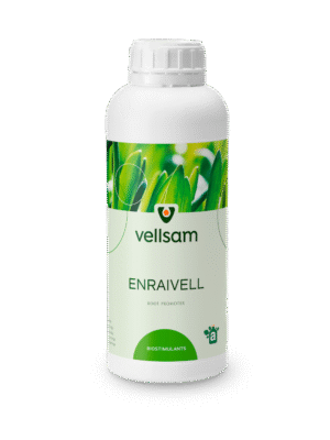 algavell fertilizator fertilizant moldova agricultura
