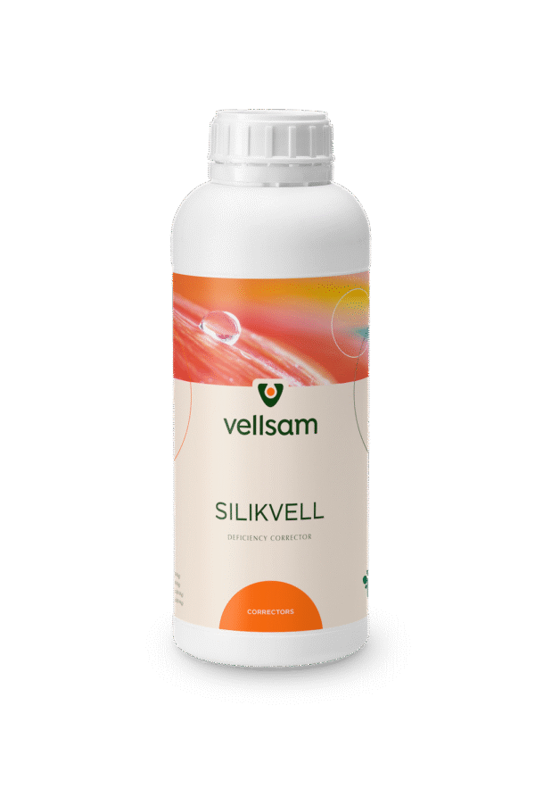 Silikvell Silikvell mdolova Silikvell md Silikvell MOLDOVA Silikvell agricultura Silikvell