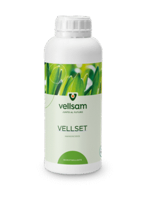 VELLSET Vellset ingrasamant ingrasamant moldova agricultura