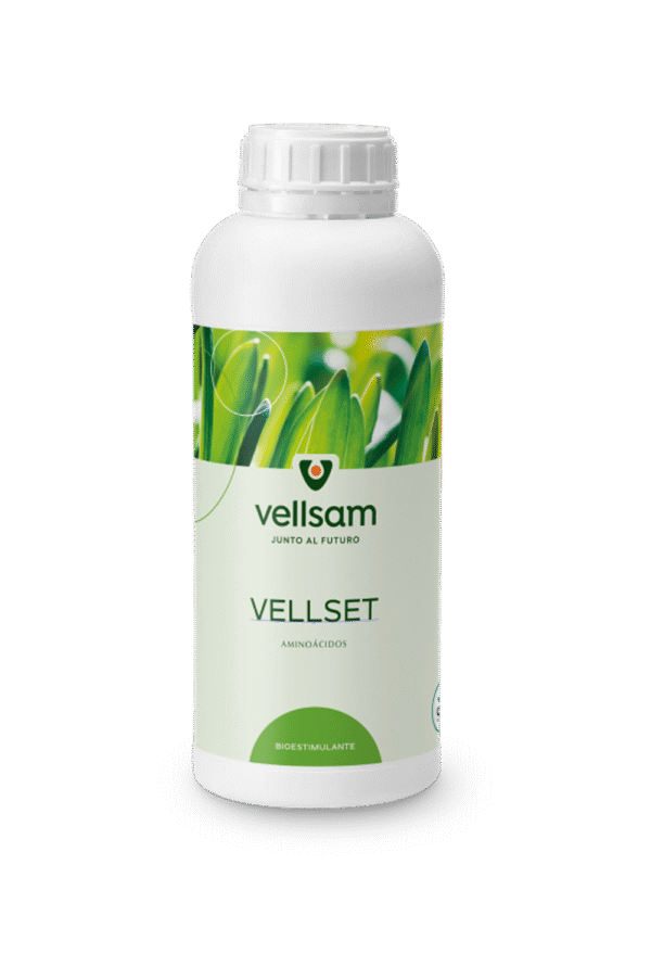 VELLSET Vellset ingrasamant ingrasamant moldova agricultura