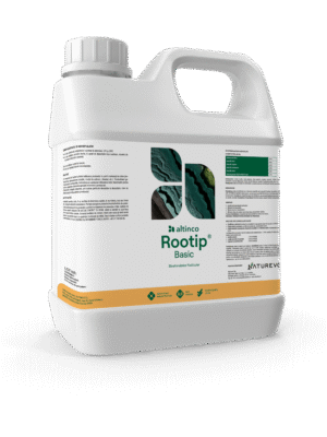 rootip basic rootip basic ingrasamant ingrasamant moldova agricultura