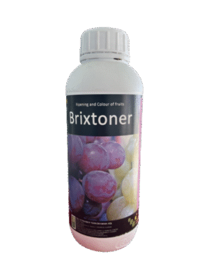 Brixtoner BRIXSTONER Brixtoner MD Brixtoner Moldova Brixtoner Ingrasamant Brixtoner Brixtoner