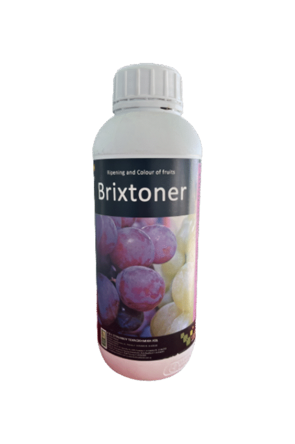 Brixtoner BRIXSTONER Brixtoner MD Brixtoner Moldova Brixtoner Ingrasamant Brixtoner Brixtoner