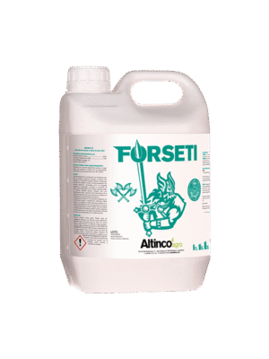 Forseti Forseti md Forseti moldova Forseti agricultura Forseti md Forseti