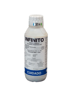 Infinite Infinite md Infinite moldova Infinite MD Infinite
