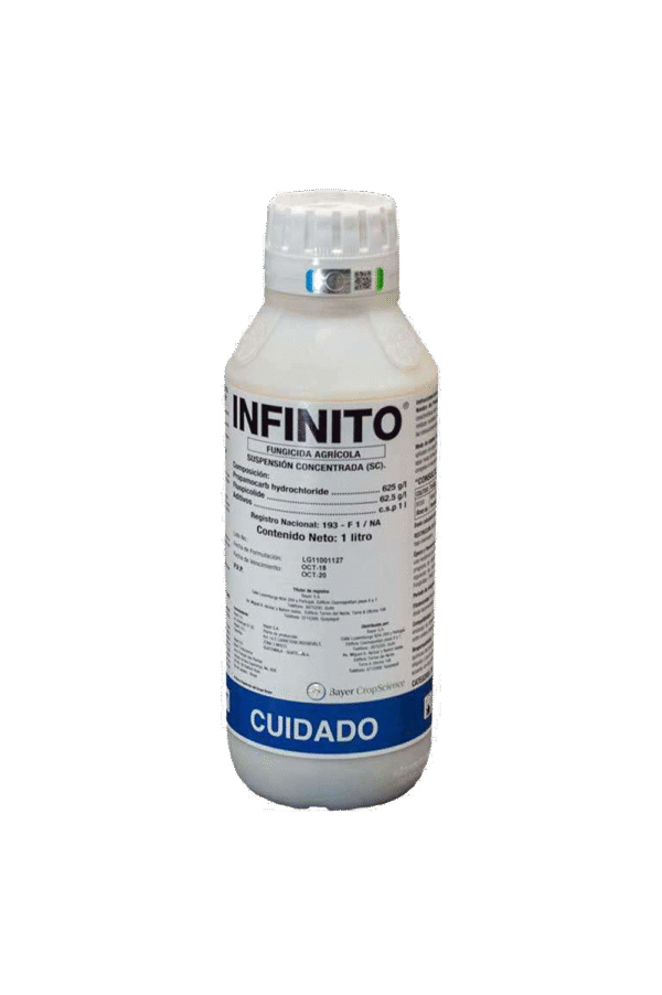 Infinite Infinite md Infinite moldova Infinite MD Infinite