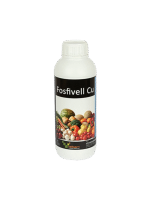 Fosfivell md Fosfivell moldova Fosfivell Fosfivell agricultura Fosfivell md Fosfivell MD Fosfivell