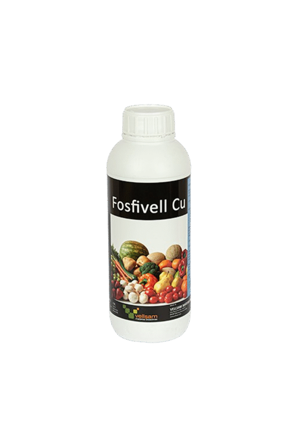 Fosfivell md Fosfivell moldova Fosfivell Fosfivell agricultura Fosfivell md Fosfivell MD Fosfivell
