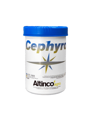 Cephyro Cephyro md Cephyro Md Cephyro MD Cephyro moldova Cephyro agricultura Cephyro
