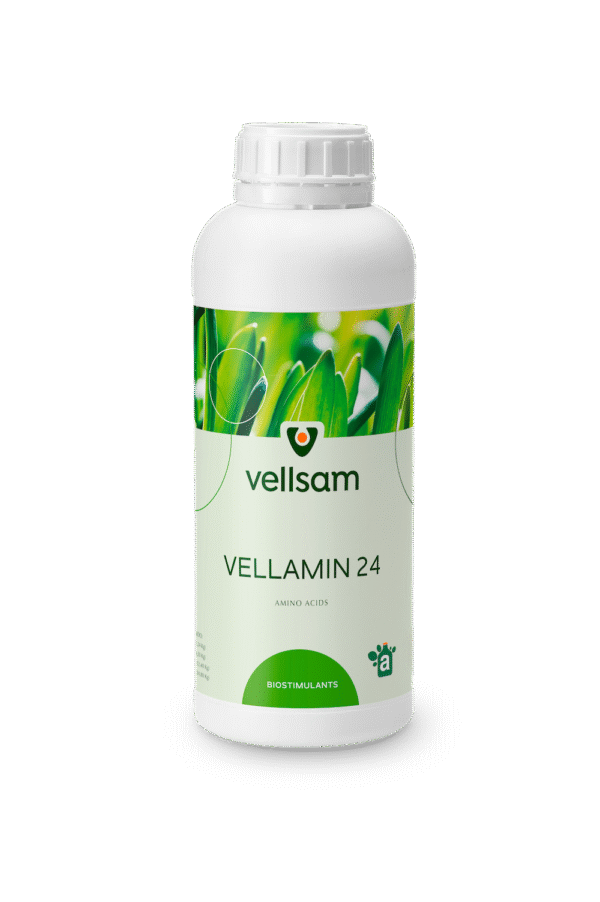 Vellamin