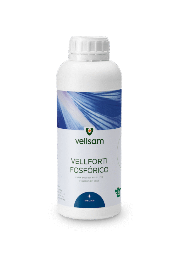 Vellforti-fosforico md Vellforti-fosforico MD Vellforti-fosforico moldova Vellforti-fosforico
