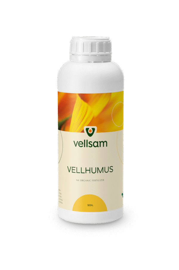Vellhumus Vellhumus md Vellhumus Moldova Vellhumus agricultura Vellhumus md