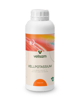 Vellpotassium Vellpotassium md Vellpotassium moldova Vellpotassium Moldova Vellpotassium agricultura