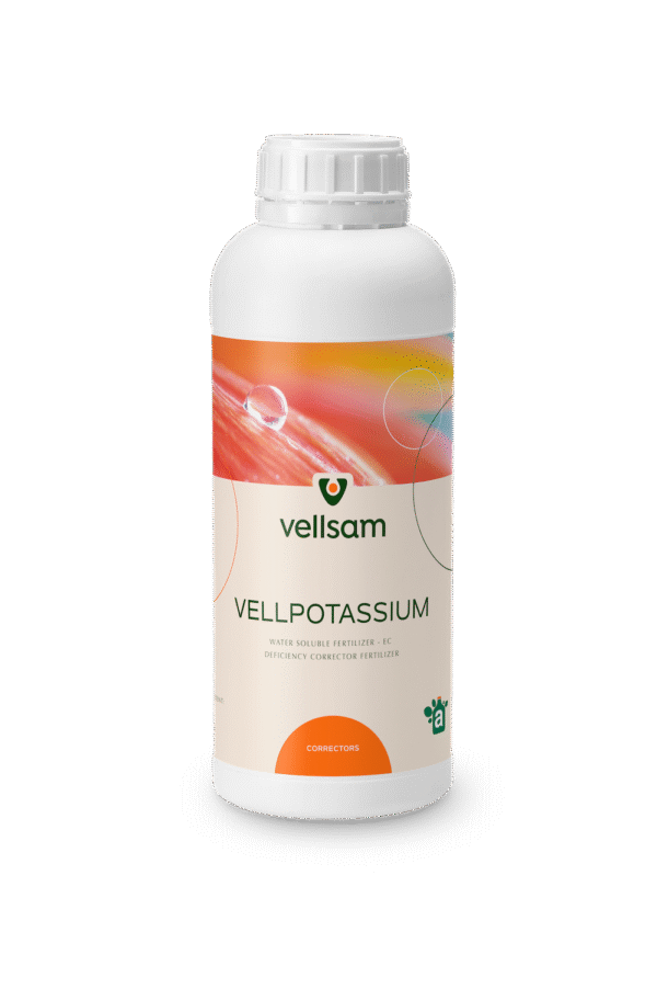 Vellpotassium Vellpotassium md Vellpotassium moldova Vellpotassium Moldova Vellpotassium agricultura
