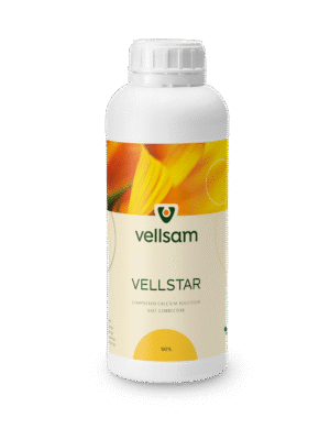 Vellstar Vellstar MD Vellstar Moldova Vellstar md Vellstar ingrasamant