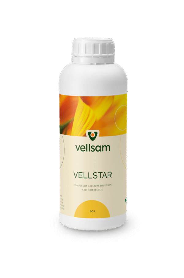 Vellstar Vellstar MD Vellstar Moldova Vellstar md Vellstar ingrasamant