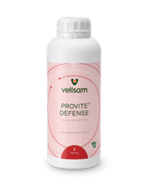 Provite Defense Provite Defense MD Provite Defense mdolvoa Provite Defense md Provite Defense Provite md Provite