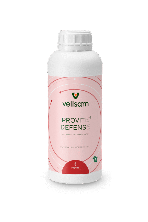 Provite Defense Provite Defense MD Provite Defense mdolvoa Provite Defense md Provite Defense Provite md Provite