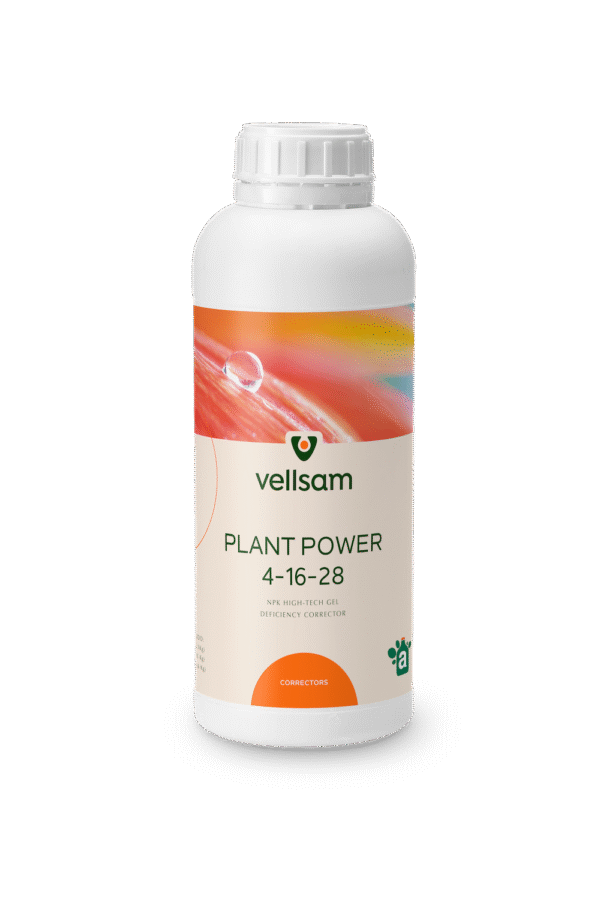 Plant Power Plant Power md Plant Power agricultura Plant Power moldova Plant Power MD
