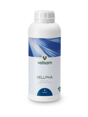 Vellpha Vellpha md Vellpha moldova VellphaMD Vellpha MD Vellpha agricultura Vellpha